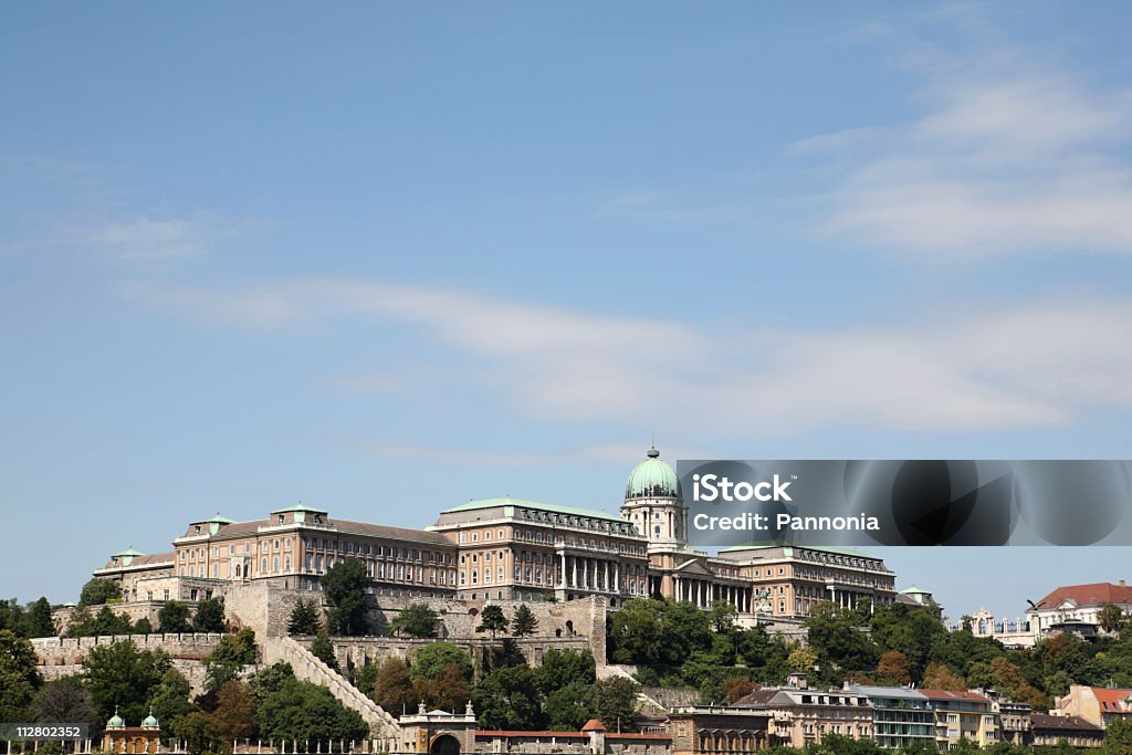 Zamku w Budzie w Budapeszcie - Zbiór zdjęć royalty-free (Bez ludzi)