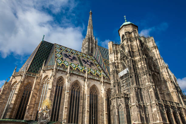 el hermoso antiguo saint stephen cathedral construido en 1160 situada en stephansplatz en viena - roof roof tile rooster weather vane fotografías e imágenes de stock