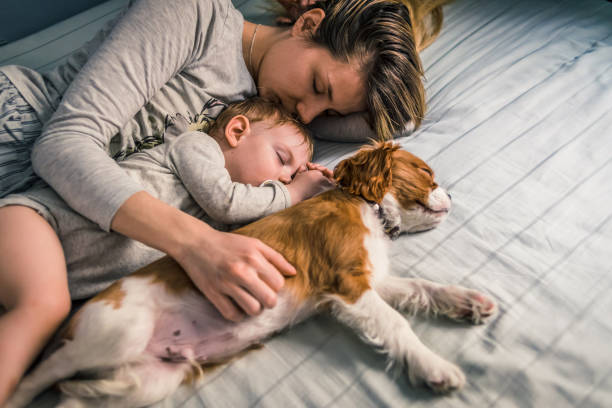 istock mother napping together with her baby and puppy 1128025265