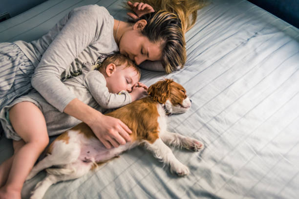 istock baby resting with mother and the puppy 1128025558