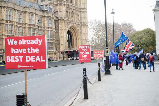 London, United Kingdom, 31st January 2019:- Anti Brexit, Pro European Unions Protesters outside the Houses of Parliament