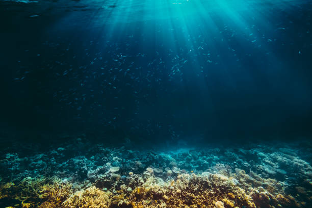 istock a background sand on the beach underwater 1128028998