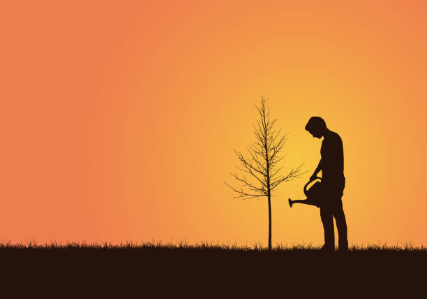 istock Realistic illustration of a gardener, a young man with a can. Watering a tree under an orange sky - vector 1128039790