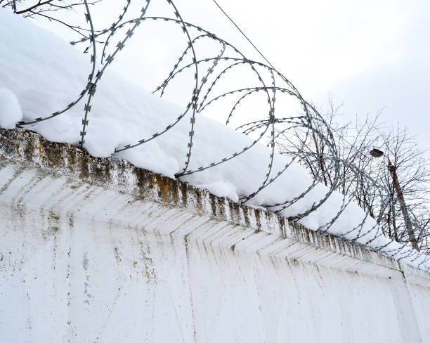Barbed wire on the fence