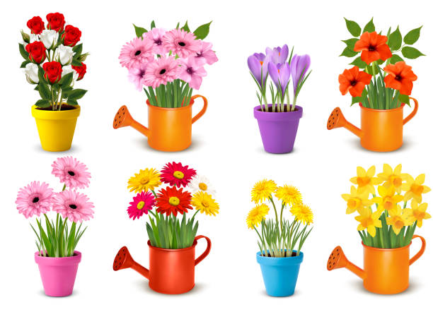 мега коллекция весенних и летних красочных цветов в горшках.  вектор - daffodil flower yellow vase stock illustrations