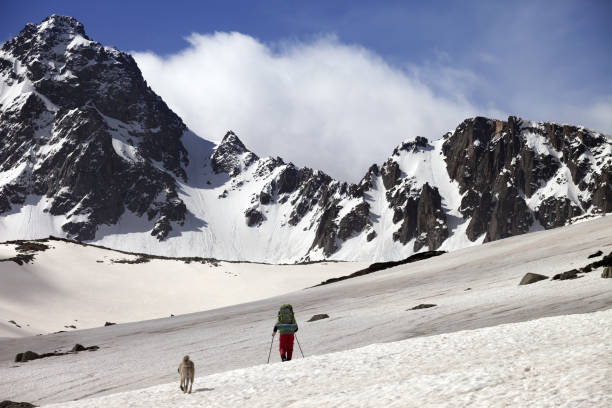 istock Hiker with dog at spring snow mountains 1128044326