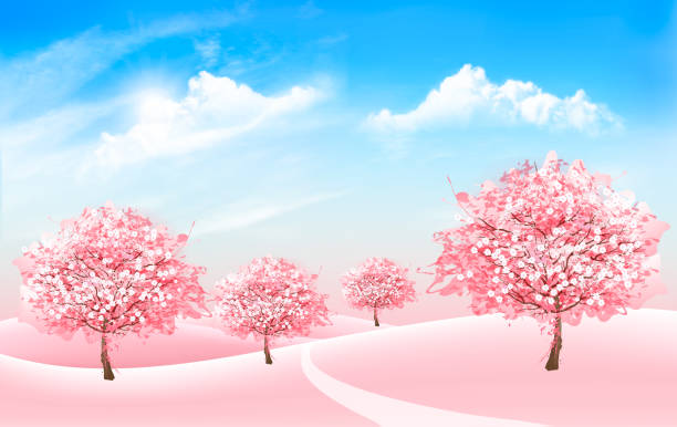 illustrations, cliparts, dessins animés et icônes de arrière-plan du printemps nature des arbres de sakura fleur et ciel bleu avec des nuages. vector. - spring magnolia flower sky