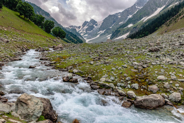 corriente glaciar en thaiwas, zozila paso, jammu y cachemira, región de ladakh, tíbet, india, - mountain stream fotografías e imágenes de stock