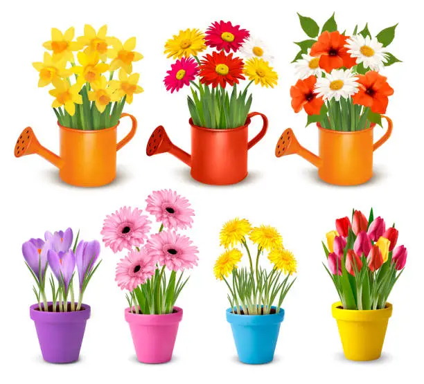 Vector illustration of Big collection of spring and summer colorful flowers in pots.  Vector