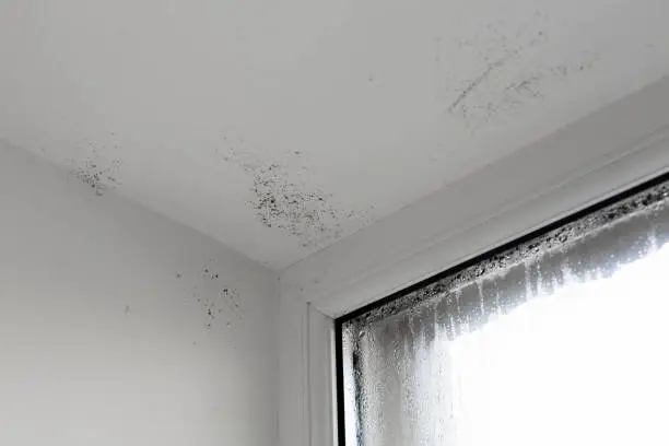 Photo of The damp is attacking the wall. mold on window. House Window With Damp And Condensation