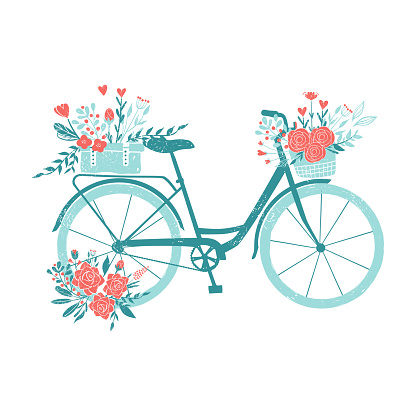 Hand drawn bicycle, romantic bike with flowers, retro bike for breakfast with bouquets