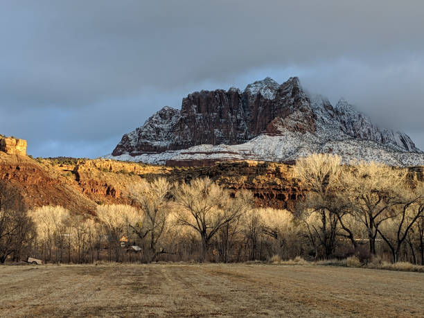 mt kinesava w zion national park utah i nowy śnieg na czerwonych skałach i zaparcie drzewa bawełniane - park snow tree back lit zdjęcia i obrazy z banku zdjęć