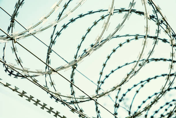 istock Barbed wire fence for protection 1128051575