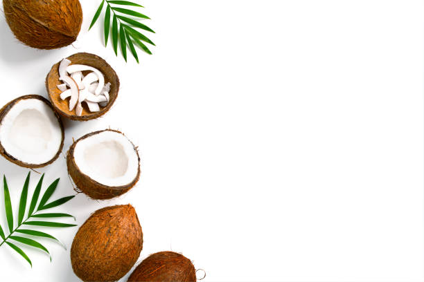 istock Coconuts and palm leaves on the white background 1128053852
