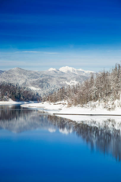 istock Beautiful lake in winter 1128055384