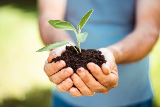 istock let's grow the plant 1128057890