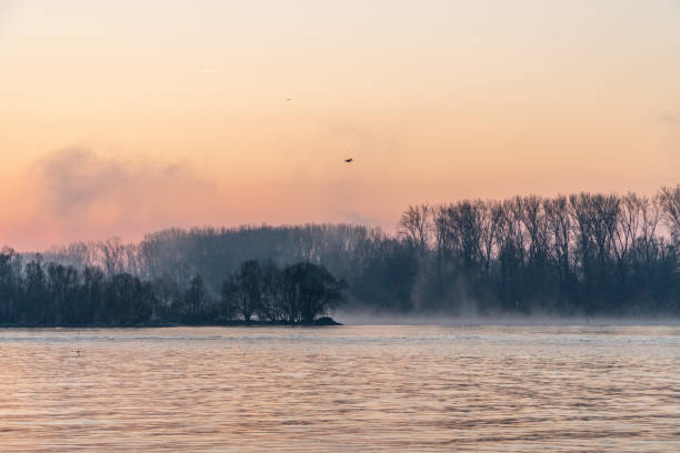 Rhine river