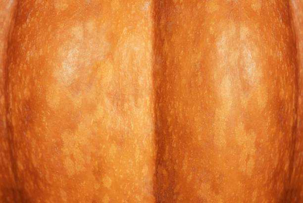istock Pumpkin skin orange texture close up 1128059209