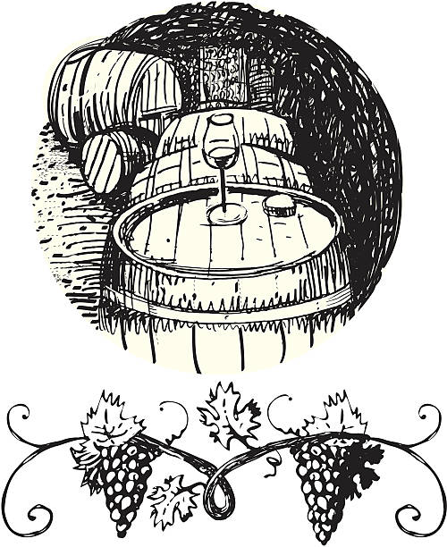 ilustraciones, imágenes clip art, dibujos animados e iconos de stock de vino cellar. vine elementos de diseño - vine label grape wine