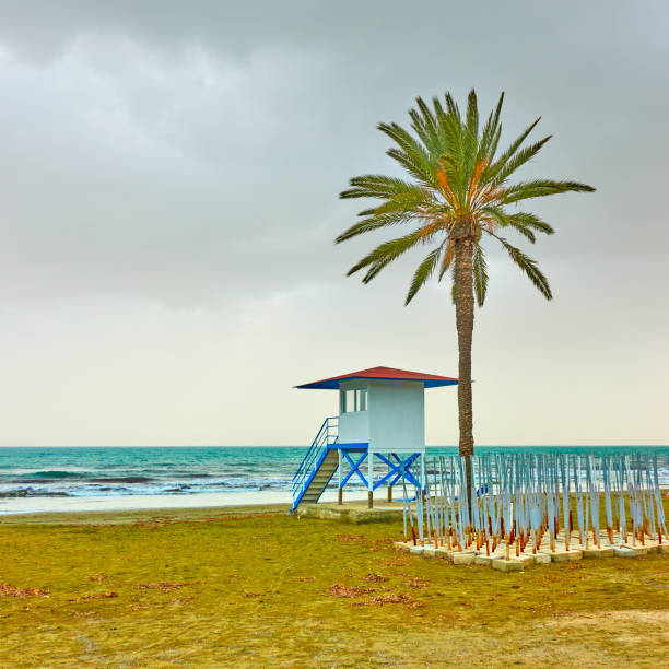 istock Beach with palm tree and life guard tower 1128067612