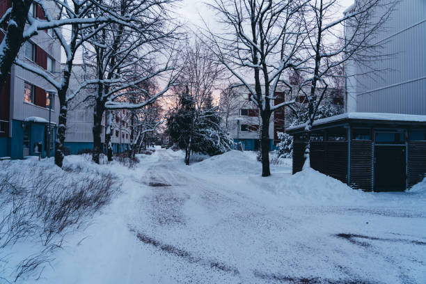 Winter scenery, snow abstract background.
