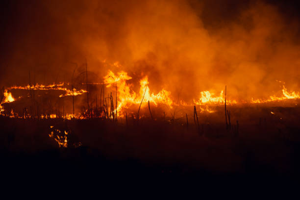 chamas de fogo amarelo com fumo em torno de um lugar à noite - arson black bright burning - fotografias e filmes do acervo