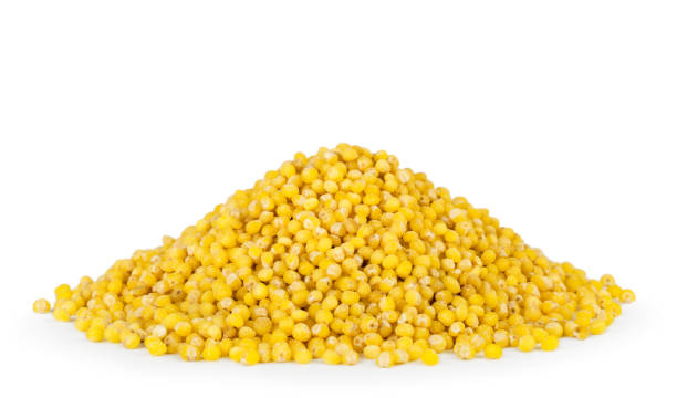 istock A heap of millet close-up on a white. Isolated. 1128071675