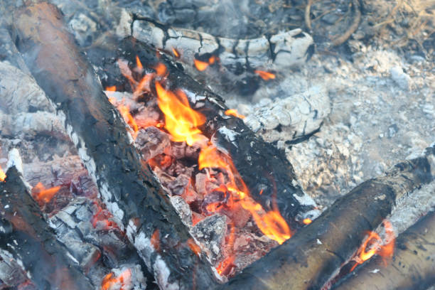 istock warm fireplace with lots of trees ready for barbecue 1128071787