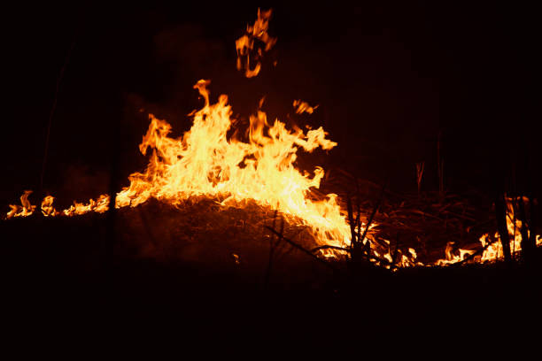 Fire flames of a fireplace at night unique photo