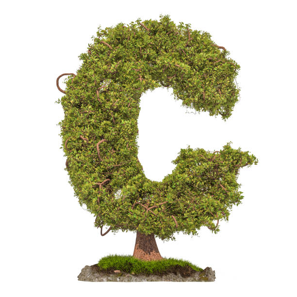 istock Tree letter C. Tree in shaped of letter C, 3D rendering isolated on white background 1128072223