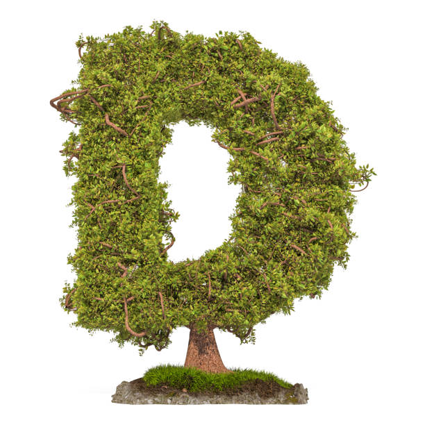 istock Tree letter D. Tree in shaped of letter D, 3D rendering isolated on white background 1128072230