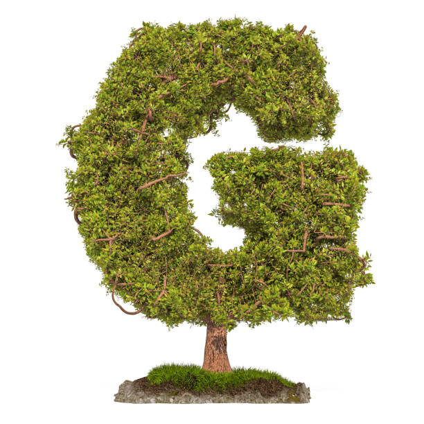 istock Tree letter G. Tree in shaped of letter G, 3D rendering isolated on white background 1128072262