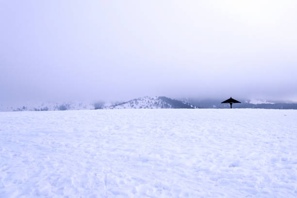 Romantic place in the mountain