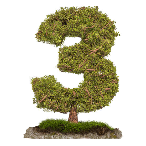istock Tree Number 3. Tree in shaped of number 3, 3D rendering isolated on white background 1128073357