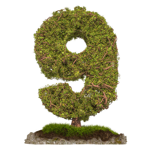 istock Tree Number 9. Tree in shaped of number 9, 3D rendering isolated on white background 1128073519