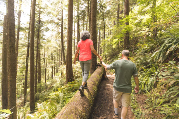 Female with long hair and backpack wearing colourful sweater walking in scenic forest embracing the tall redwood tree in Monterey Peninsula. the USA