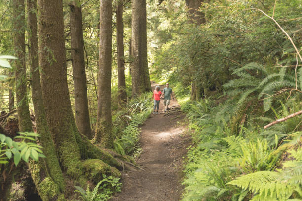istock Senior couple hike in the forest 1128073829