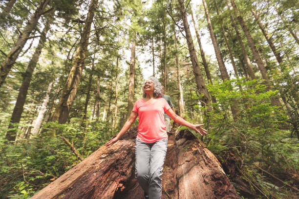 istock Senior couple hiking in an Oregon forest 1128073835