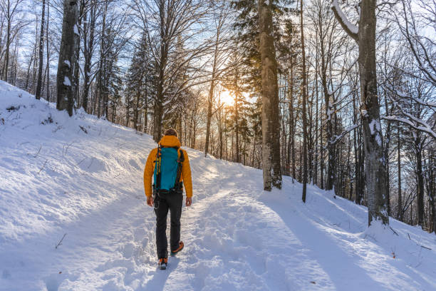 istock Solo hiker walking in the snowy forest 1128074031