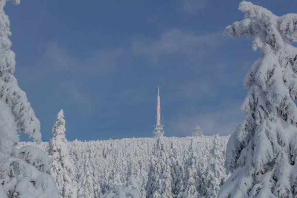 istock on the way in the winter landscape through the beautiful harz 1128074549