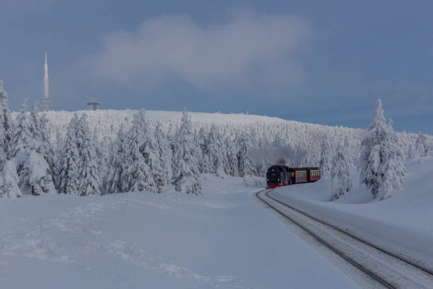 아름 다운 하르츠 통해 겨울 풍경에가 길에 - eisenbahn 뉴스 사진 이미지