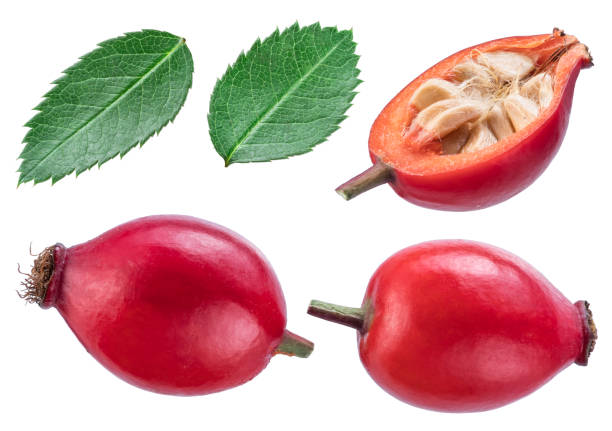 istock Rose-hips or wild rose berries and leaves. 1128077034