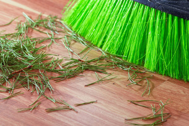 istock Fallen needles from the Christmas tree on the floor next to the brush for sweeping debris 1128079724