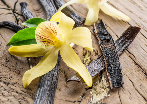 istock Dried vanilla fruits and vanilla orchid. 1128080599