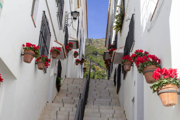 Street scene, Mijas, Spain. A set of steps in a small lane way  in the white village of Mijas,Spain brightly decorated with flower pots mijas pueblo stock pictures, royalty-free photos & images