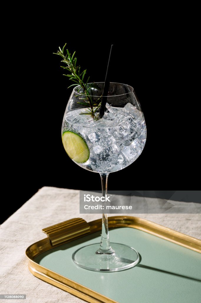 Apéritif avec Gin Tonic, de romarin et de concombre - Photo de Gin Tonic libre de droits