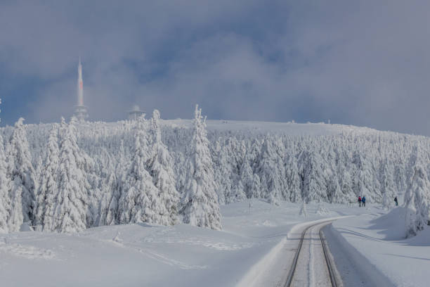 On the way through the beautiful winter landscape in the Harz Mountains Winter wonderland Harz/Saxony-Anhalt licht stock pictures, royalty-free photos & images