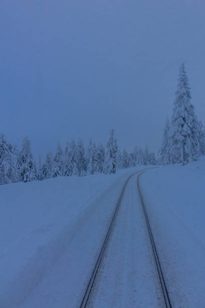 안녕히 dem weg 후 다이 아름 다운 winterlandschaft 메신저 하르츠 - eisenbahn 뉴스 사진 이미지