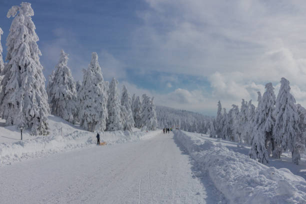 안녕히 dem weg 후 다이 아름 다운 winterlandschaft 메신저 하르츠 - eisenbahn 뉴스 사진 이미지
