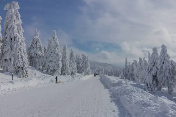 Winter wonderland Harz/Saxony-Anhalt